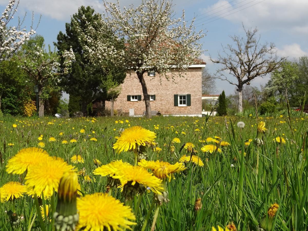 Landhaus Loewenzahn Unteregg 외부 사진
